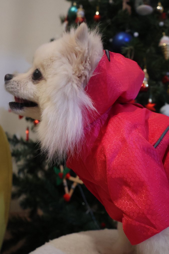 Pembe Reflektörlü Köpek Yağmurluk - Görsel 2