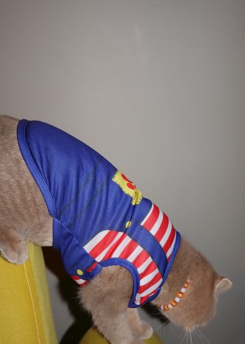 Renkli Pati Desenli Kırmızı Çizgili Kedi Köpek Kıyafeti - Görsel 6