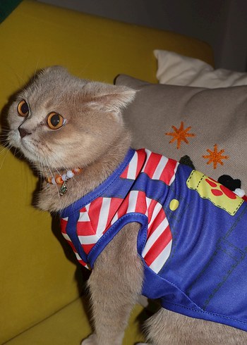 Renkli Pati Desenli Kırmızı Çizgili Kedi Köpek Kıyafeti - Görsel 5