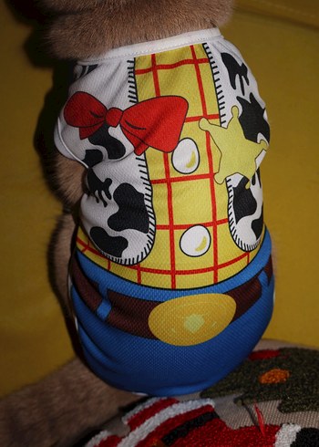 Toy Story Kedi Köpek Atlet - Görsel 2