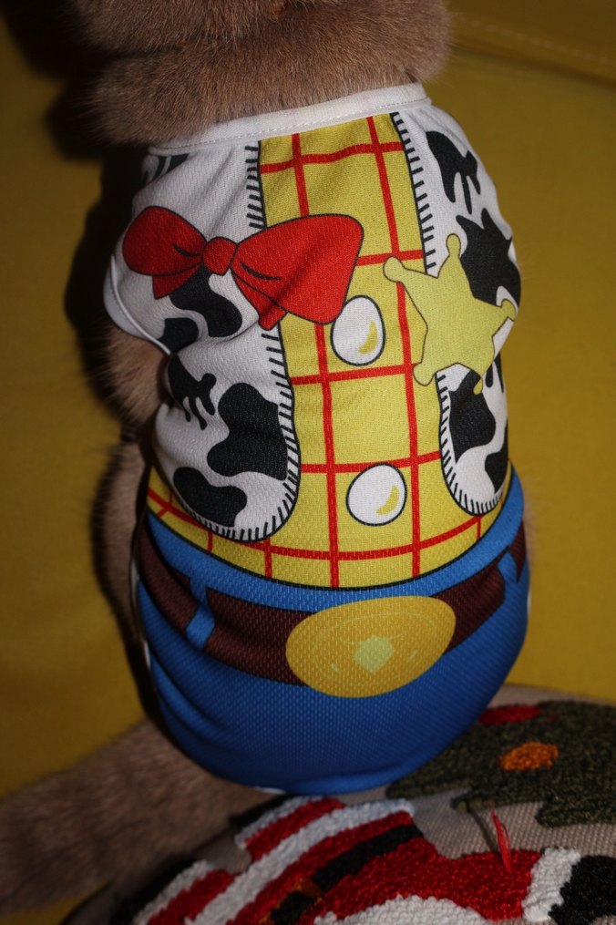 Toy Story Kedi Köpek Atlet - Görsel 2