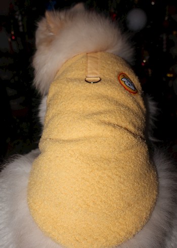 Sarı İç Dış Polar Çıtçıtlı Köpek Kedi Kıyafeti - Görsel 4