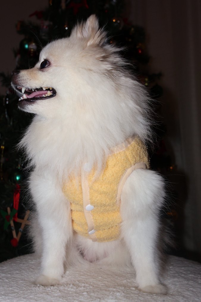 Sarı İç Dış Polar Çıtçıtlı Köpek Kedi Kıyafeti - Görsel 2