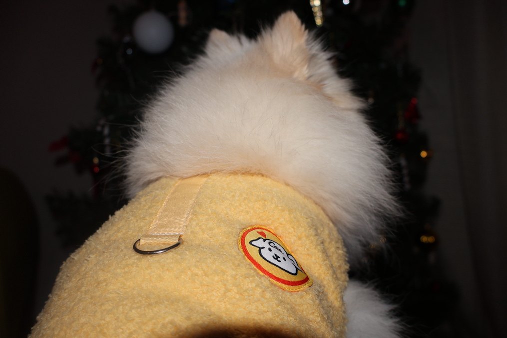 Sarı İç Dış Polar Çıtçıtlı Köpek Kedi Kıyafeti - Görsel 3