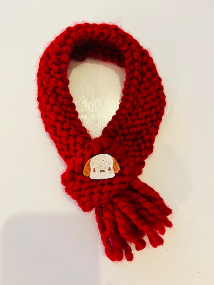 El Örgüsü Kedi Köpek Atkısı - Görsel 5