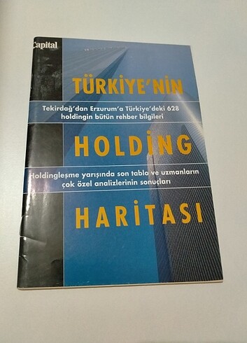 Türkiye'de Holding Haritası