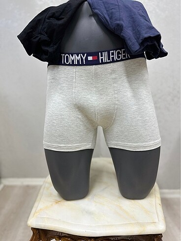 l/xl Beden gri Renk Tommy Boxer