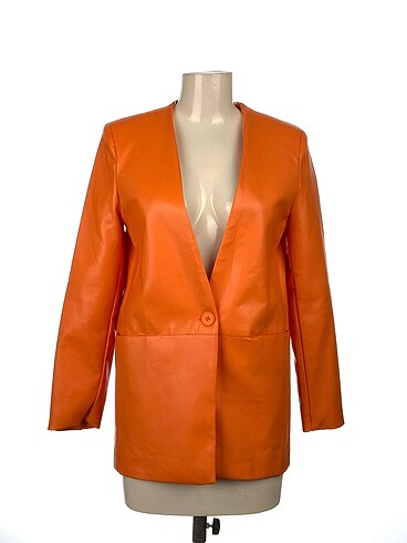 Quzu Blazer %70 İndirimli.