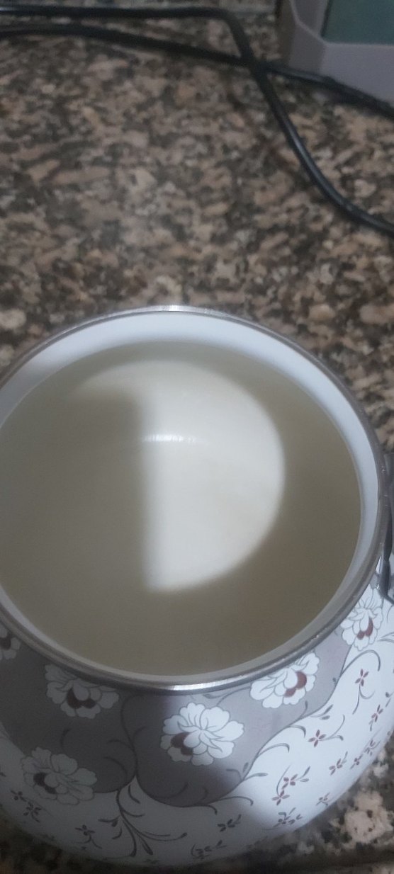 Gri Detaylı Beyaz Çaydanlık - Görsel 4