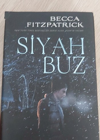 Final Becca Fitzpatrick Kitap Posteri - Görsel 2