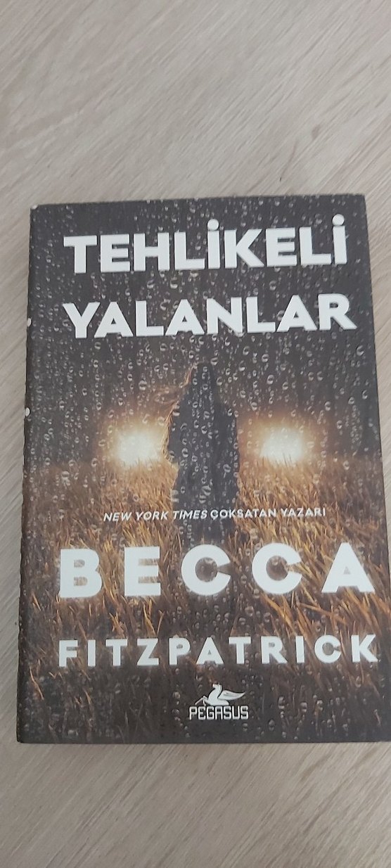 Final Becca Fitzpatrick Kitap Posteri - Görsel 3