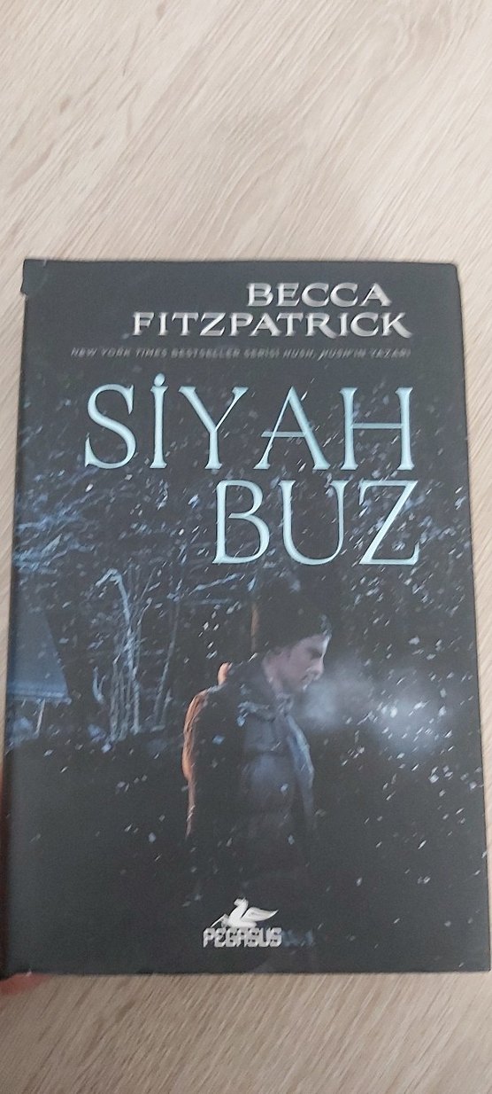 Final Becca Fitzpatrick Kitap Posteri - Görsel 2