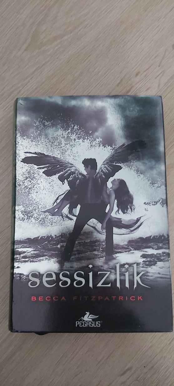 Final Becca Fitzpatrick Kitap Posteri - Görsel 4