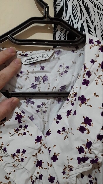 Stradivarius stradivarius crop