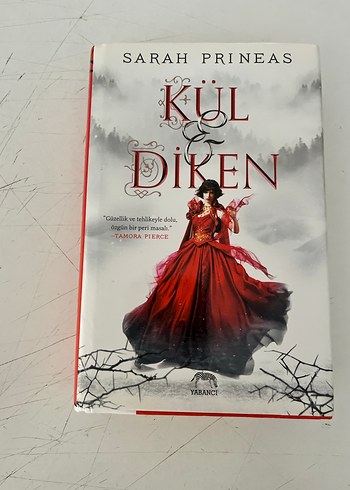 Kül ve Diken - Sarah Prineas