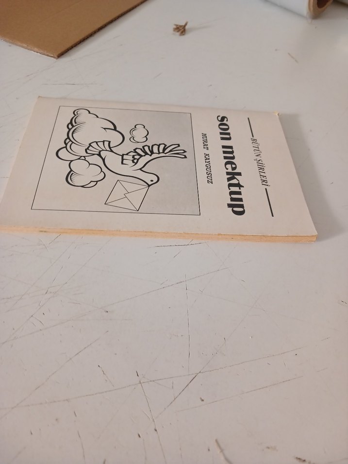 Son Mektup - Murat Kaygusuz Bütün Şiirleri - Görsel 3