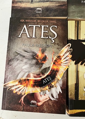 Paula Weston 4 Kitap Seti: Sis, Işıltı, Gölgeler, Ateş - Görsel 4