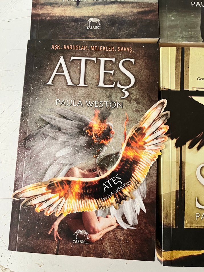 Paula Weston 4 Kitap Seti: Sis, Işıltı, Gölgeler, Ateş - Görsel 4