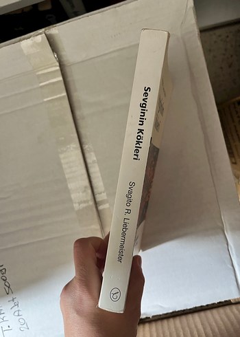 Sevginin Kökleri - Aile Dizilimi Rehberi - Görsel 4