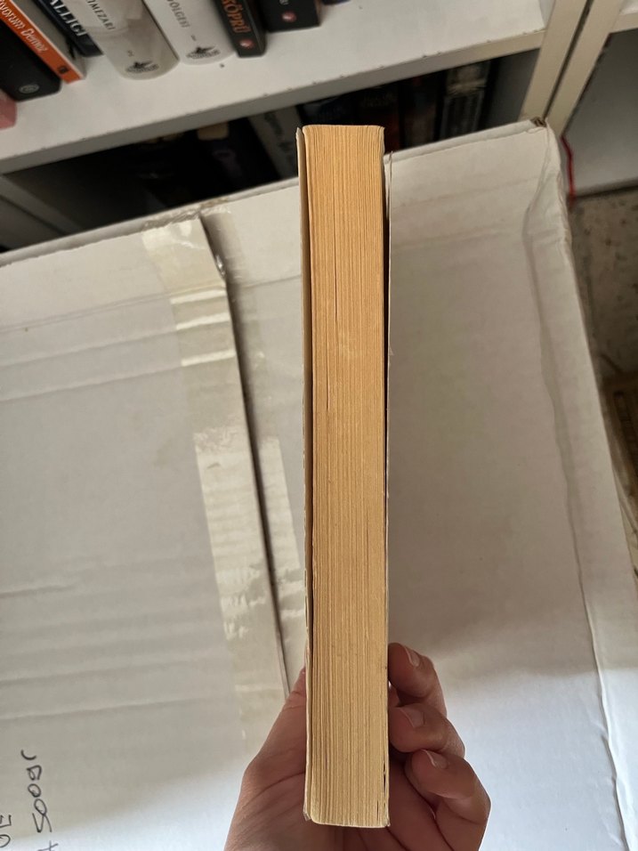 Sevginin Kökleri - Aile Dizilimi Rehberi - Görsel 3