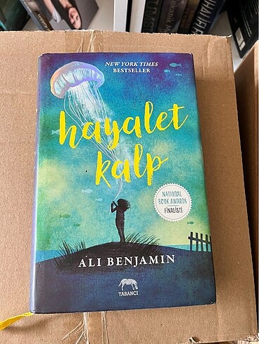 Hayalet kalp benjamin