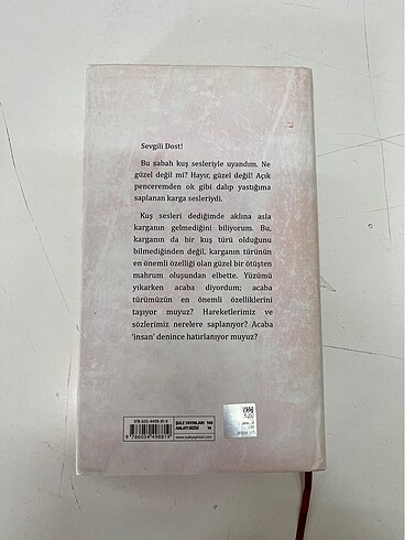 Posta kutusundaki mızıka Ali Ural özel baskı - Görsel 2