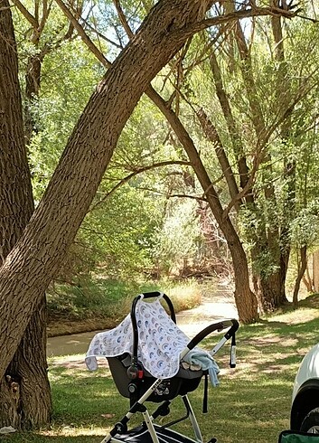 Bebek arabası 