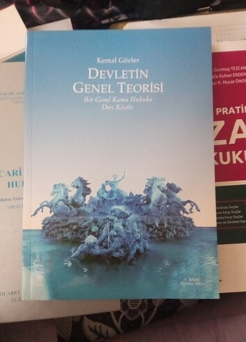 Genel devlet teorisi