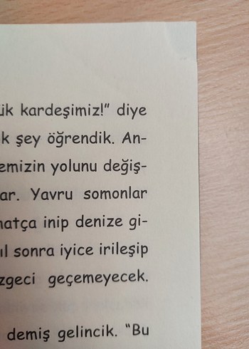 Beden Renk Yüzgeçli Yolcular - Suyun Çocukları 1