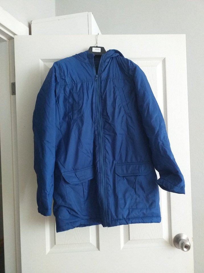 Erkek Çocuk Parlak Mavi Kapüşonlu Mont - Görsel 2