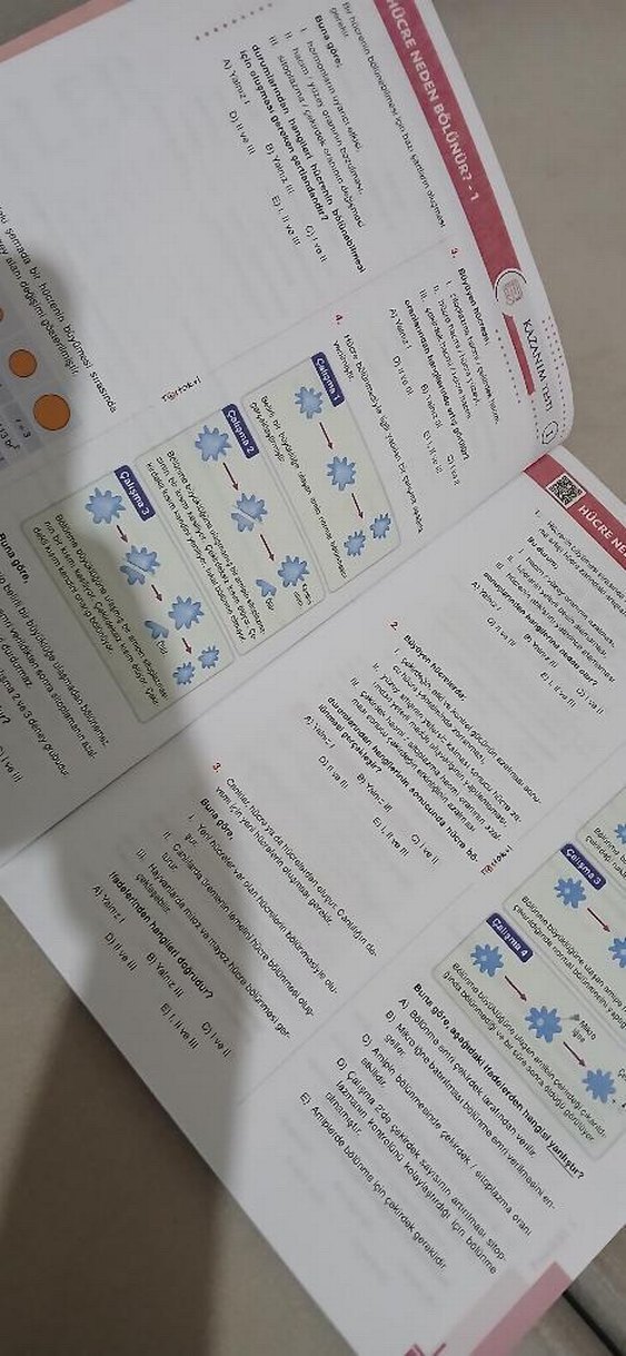 10. Sınıf Biyoloji Fasikül Soru Kitabı Testokul - Görsel 2