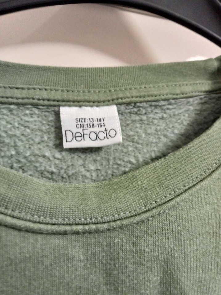 Yeşil Baskılı Kadın Sweatshirt erkek - Görsel 2