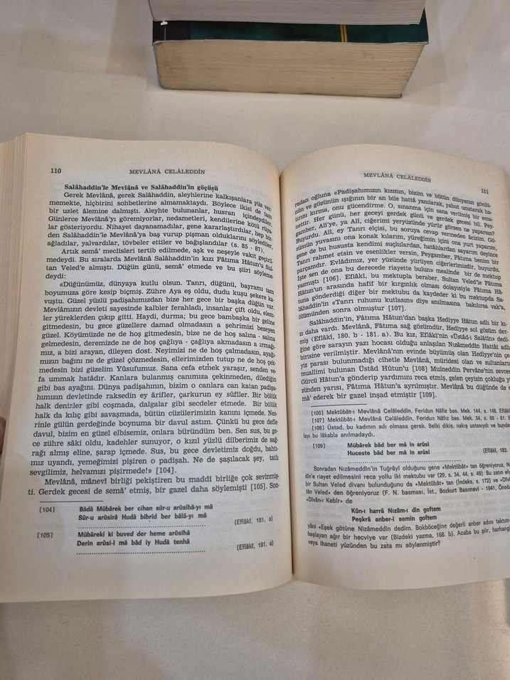 Mevlana Celaleddin - Hayat, Eserleri, Felsefesi - Görsel 3