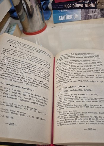 Din Görevlisinin El Kitabı - Mevlüt Özcan - Görsel 3