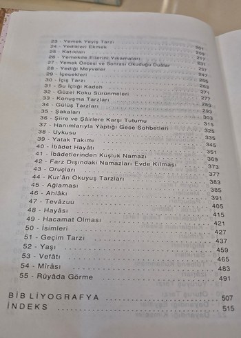 Peygamberimizin Şemaili - Prof. Dr. Ali Yardım - Görsel 5