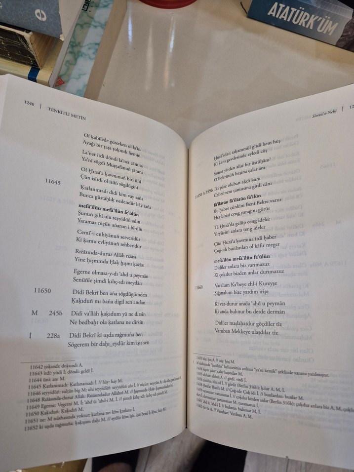 Siretu'n-Nebi 1. ve 2. Cilt Seti - Görsel 4