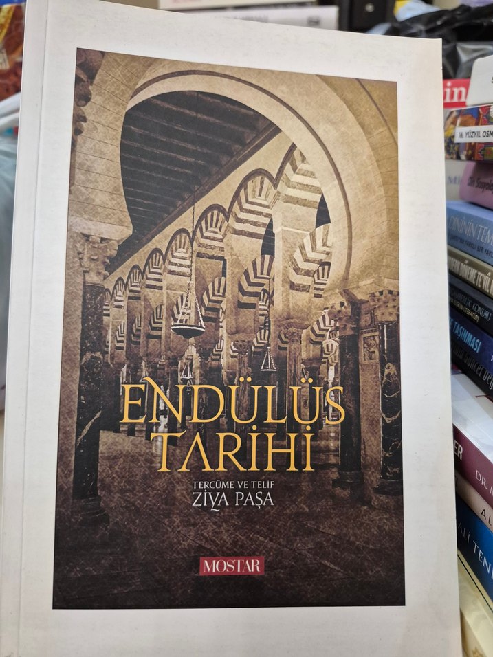 Endülüs Tarihi - Ziya Paşa - Görsel 2