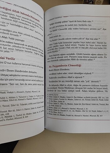  Yaşar Kandemir Gönlümüzün Sultanı Habibullah