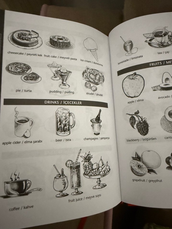 Redhouse Büyük El Sözlüğü İngilizce-Türkçe - Görsel 4