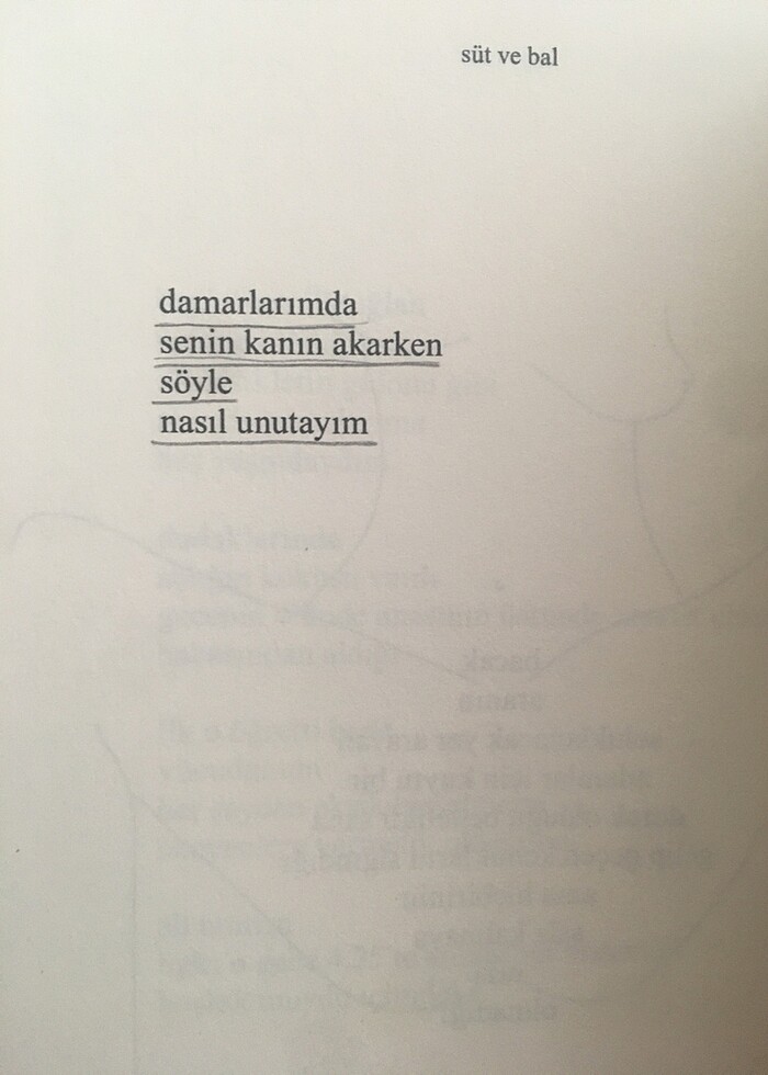 süt ve bal - Görsel 3