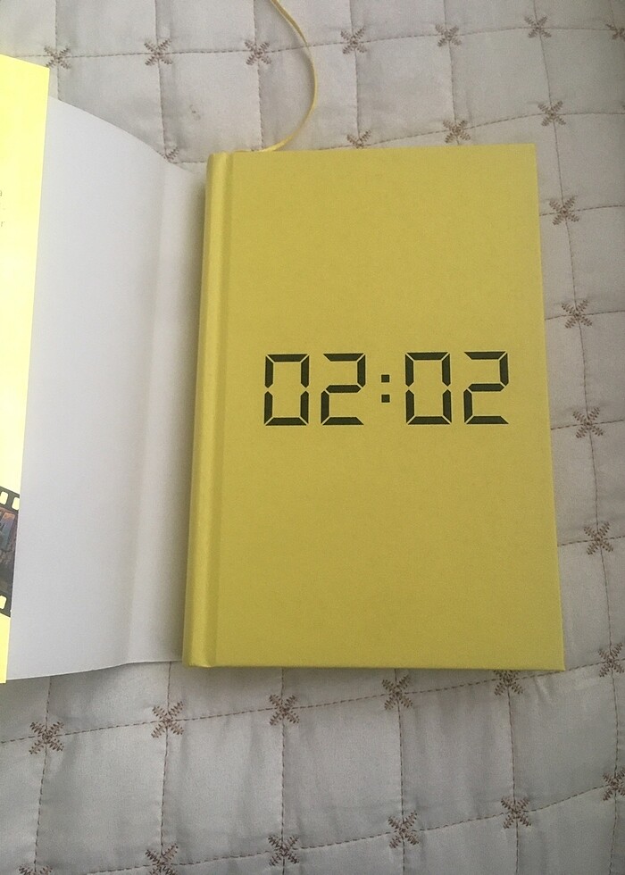 ayçiçeği karnavalı - Görsel 3