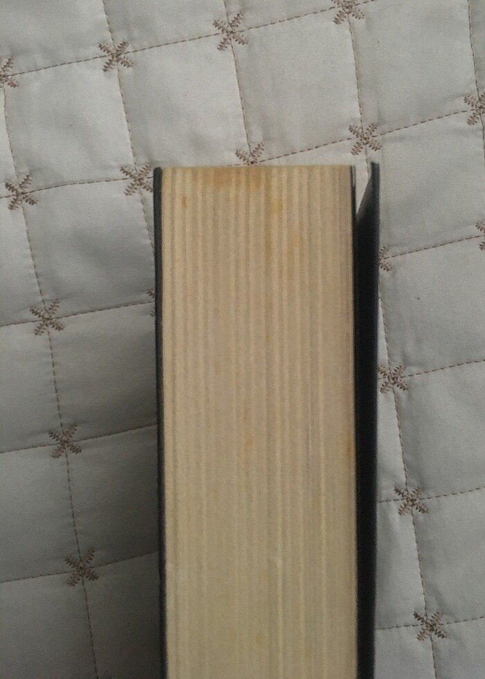 siyah kuğu - Görsel 3