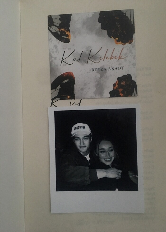 kül kelebek (kö 2) - Görsel 4