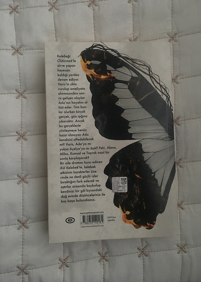 kül kelebek (kö 2) - Görsel 2