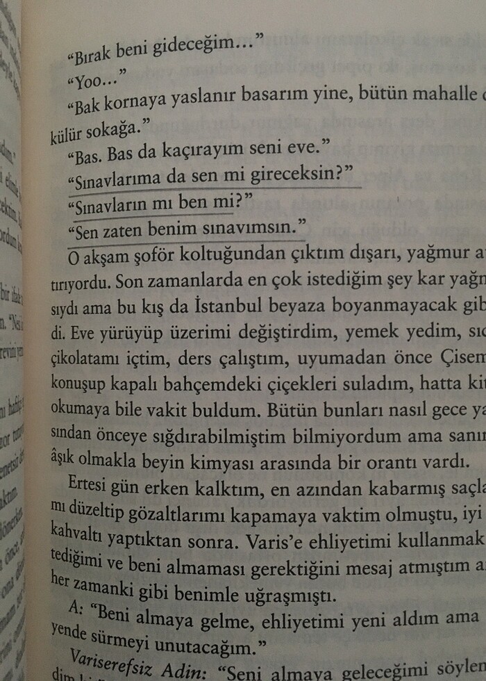 kül kelebek (kö 2) - Görsel 3