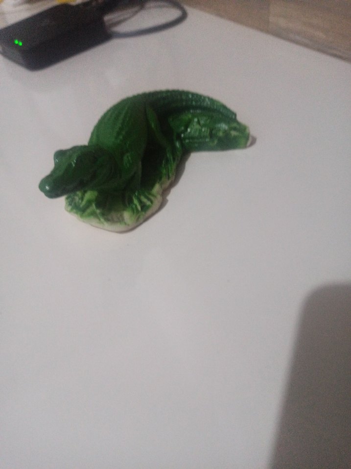 timsah dekorasyon Yeni - Görsel 3