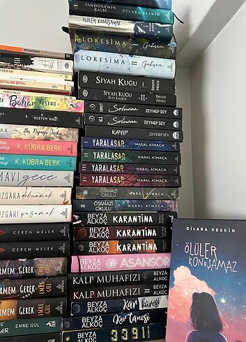  Beden Renk kitap