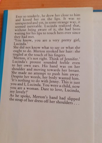 Lucinda, My Lovely - Xaviera Hollander - Görsel 2