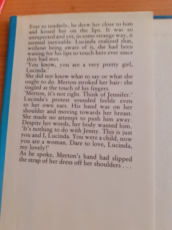 Lucinda, My Lovely - Xaviera Hollander - Görsel 2