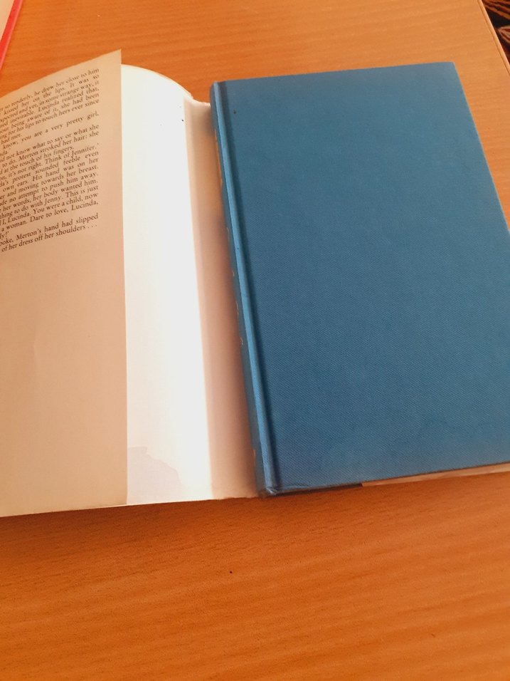 Lucinda, My Lovely - Xaviera Hollander - Görsel 5